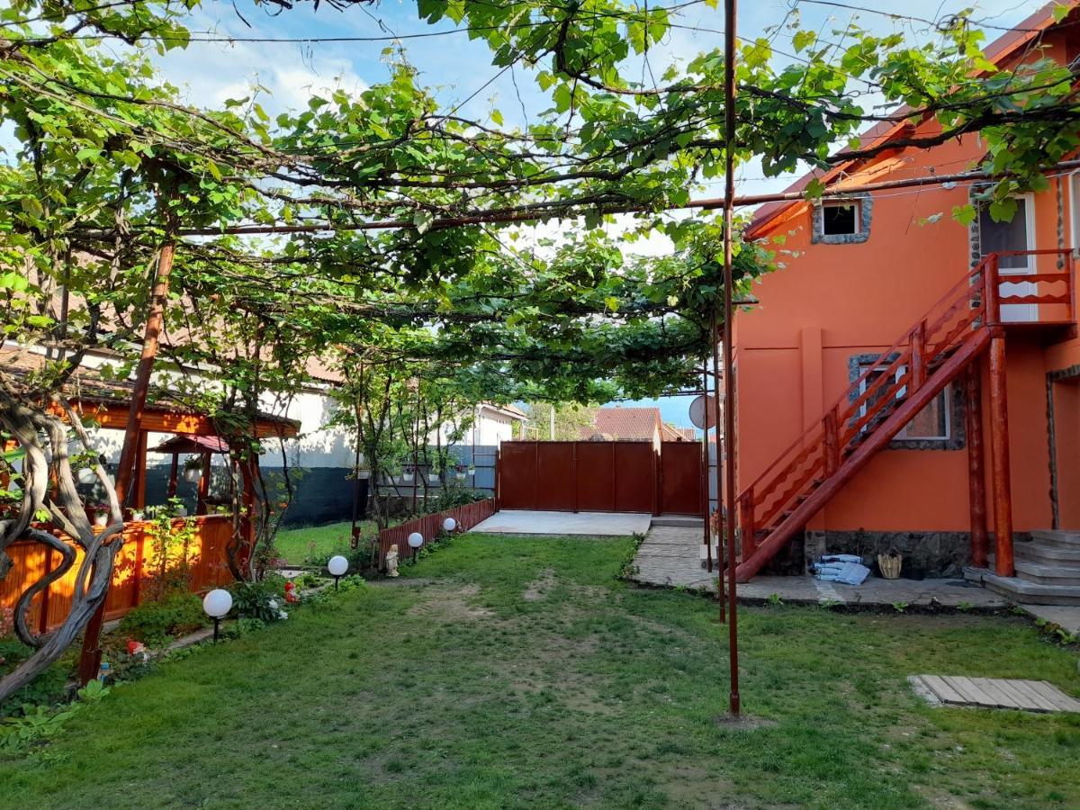 Casa Alex Hotel Cartisoara Exterior photo